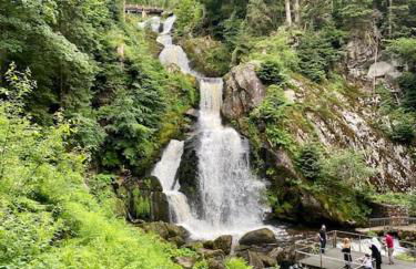 Exklusive 82 qm Loftwohnung mit Tiefgarage und Süd-Balkon zentral - Foto 7