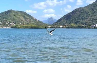 Sobradinho da Lagoa - Foto 14