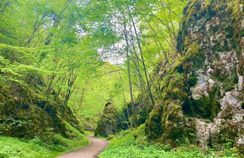 Ferienwohnung am Kappenturm - Foto 37