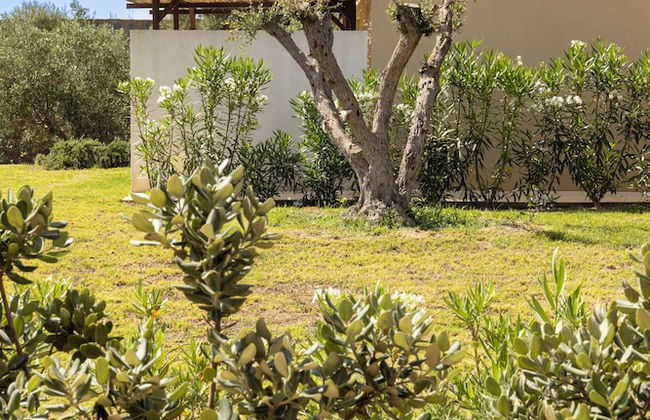 Agua Green Resort - Foto 29