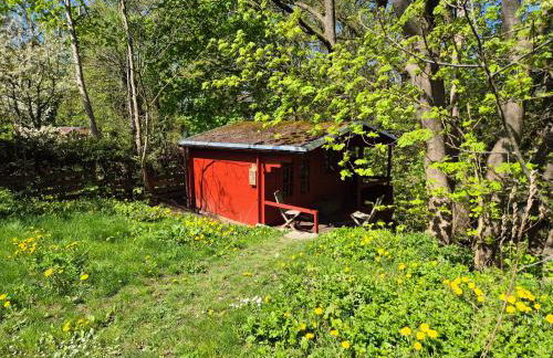 Glampinghütte Georgenthal - Foto 19