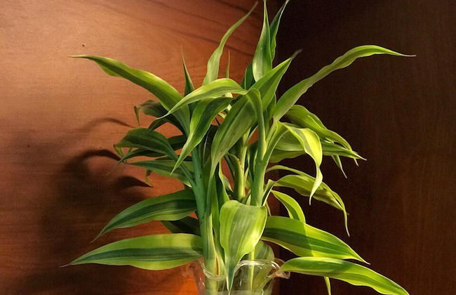 Thada Apartment - Foto 17