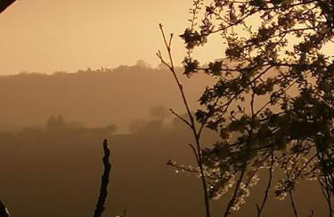 Il Rustico Bunker - Foto 13