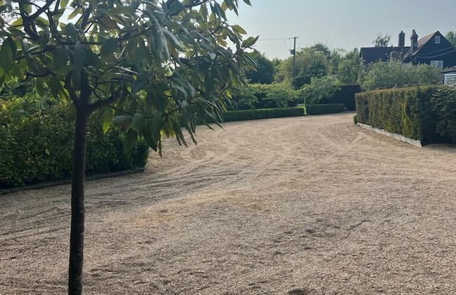 The Hen House - Foto 55