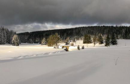 Ferienhaus Köhler - Foto 39