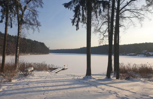 Serce Puszczy Wiartel - Foto 34