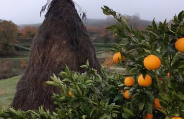 Casa rural Quinta de los Almiares - Foto 23