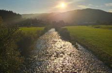 Sandhaasenblick - Foto 12