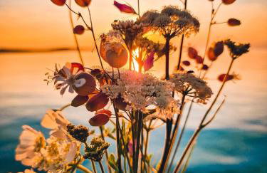 Apartment Nina - Foto 56