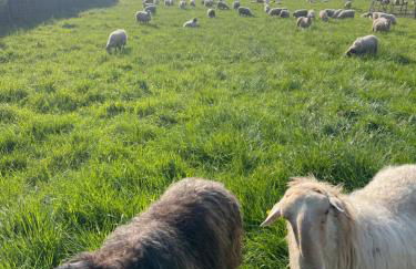 Verde & Mar - Photo 41