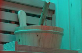 L alcove des Sens Jacuzzi sauna - Photo 21