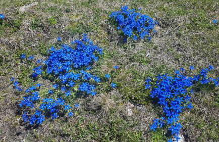 Haus Martina - Photo 19