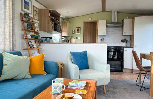 Little Curlew, Ynyslas, Borth - Foto 6