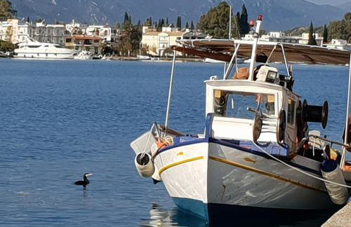 ISLAND HOUSE - Foto 18