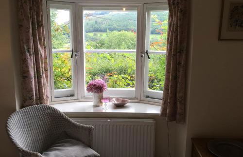 200 year old Gardener's cottage, Mid Wales - Foto 17