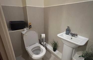 Comfy studio - Foto 7