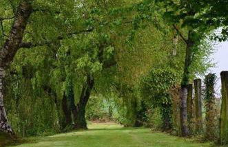 Magnificent 18th Century, 5 Star Luxury Spa - Photo 16