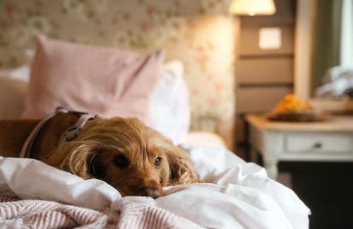 Retreat East - Foto 104