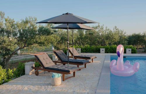 MY DALMATIA - Authentic Villa Storia with private heated pool - Photo 31