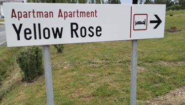 Yellow Rose - Foto 4