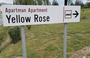 Yellow Rose - Foto 4