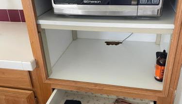 Rosie's Surf Shack - Foto 5