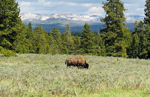 Bear Lair at Teton Valley Idaho - Foto 47