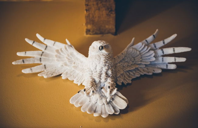 Hogsveil Cottages - Harry Potter Themed - Foto 27