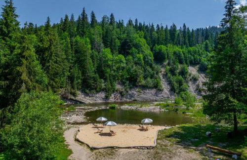 Hotel Litworowy Staw - Foto 46