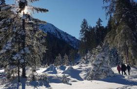 Ferienwohnung Carlina - Foto 8