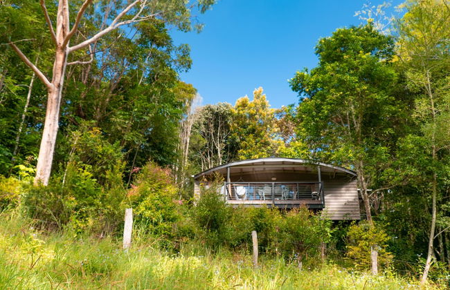 Whispering Valley Cottage Retreat - Photo 34