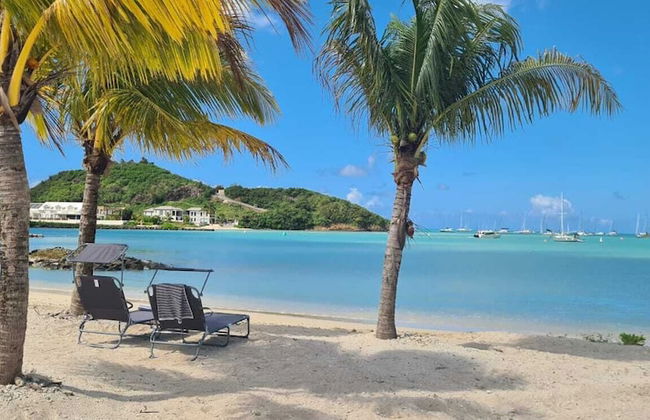 Wild Lotus Villa - Waterfront on Jolly Harbour - Photo 33