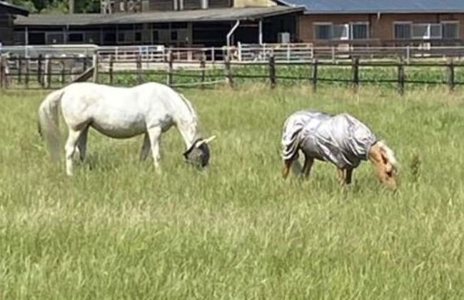 Holiday Home Schwalm - Foto 26