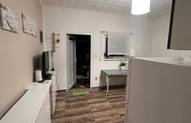 Salty Paws Medveja - Foto 4