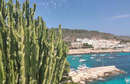 Al Profumo di Zagare - Foto 34