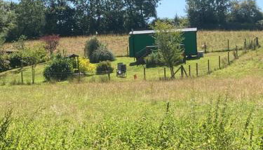 Shepherds Hut (Benny's) - Foto 3