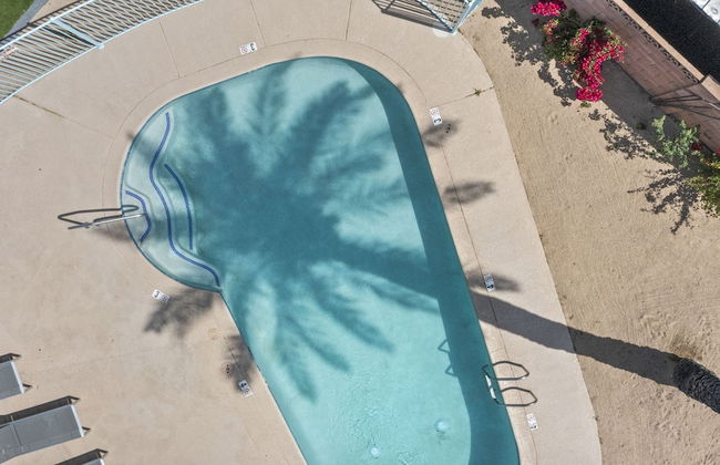 Lovely 1-bedroom condo in Biltmore - Foto 8