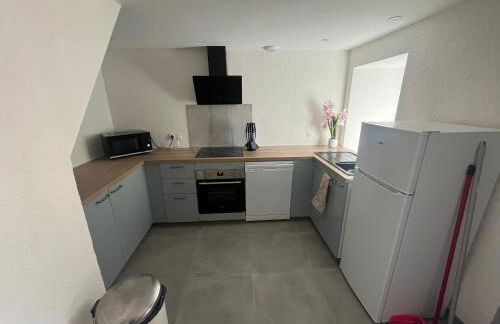 Gite le Patou Retournac - Foto 14