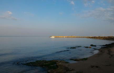 Casa Iolanda - Foto 41