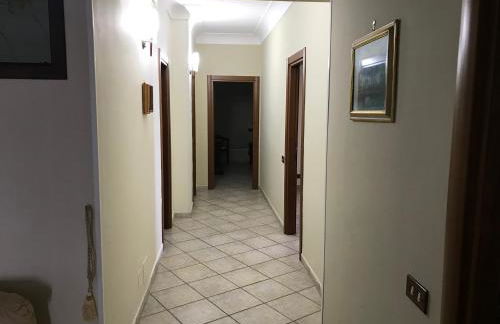 Or Son Sano - Foto 32