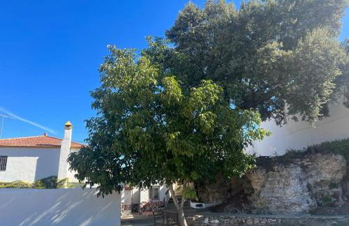 Alojamiento rural Huerta Mandre - Foto 8