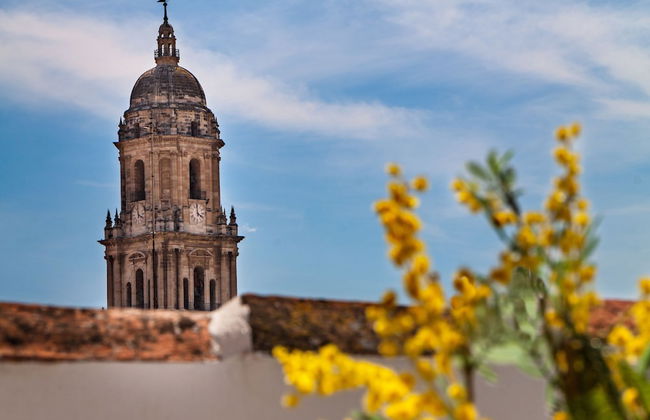 Feelathome Merced Apartments - Foto 63