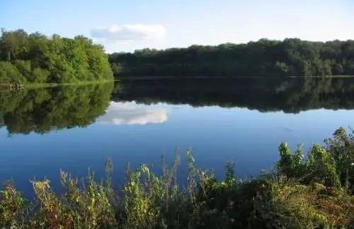 Villa spacieuse près de Senonches avec piscine privée - Foto 25