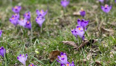 Rancho Zalinski - Foto 3, Garden, Garden view
