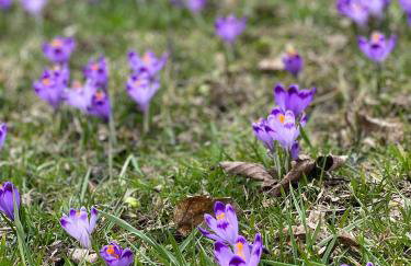 Rancho Zalinski - Foto 3