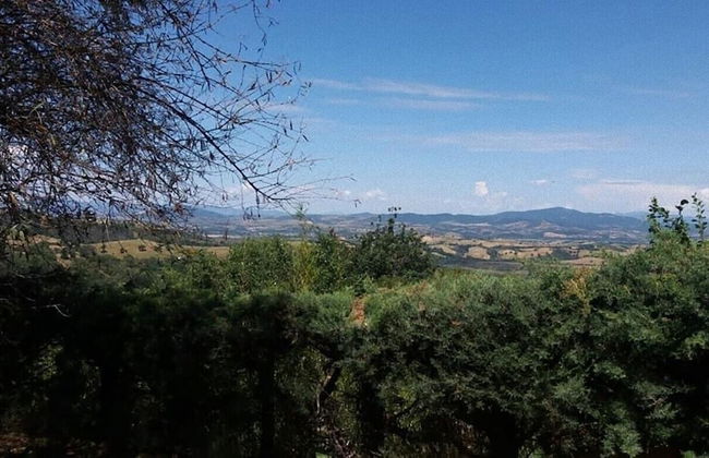 House, Villa - Polveraia, Scansano, Grosseto - Foto 19