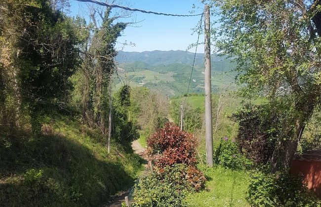 Agriturismo Piccola Raieda - Photo 61