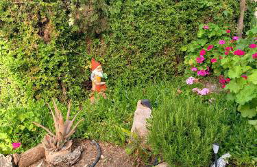 Eirini's Traditional House - Foto 23