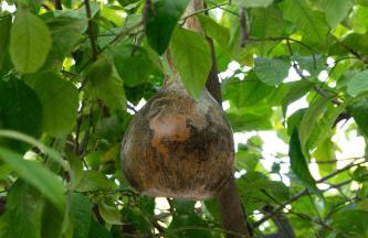 Petra VORI House - Photo 8