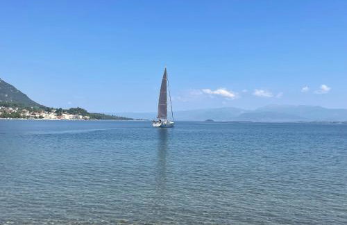 The Doctor's house - Το σπίτι του γιατρού - Photo 23